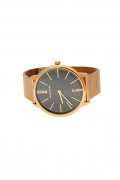 Hodinky PIERRE CARDIN PC106991F32
